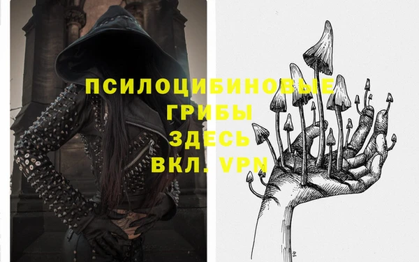 мдпв Верхний Тагил
