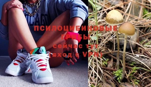 мдпв Верхний Тагил