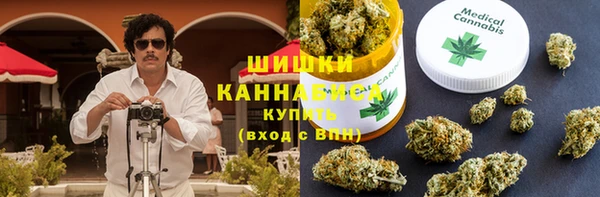 мдпв Верхний Тагил