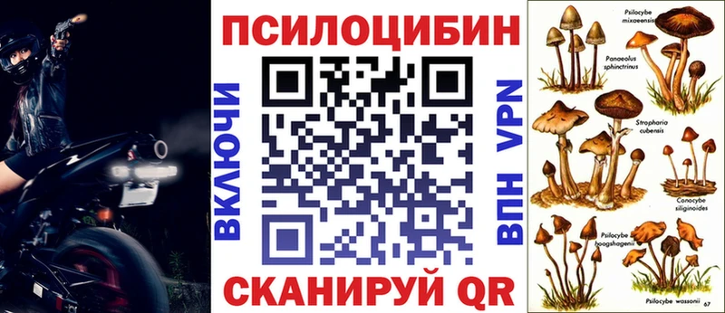 Псилоцибиновые грибы мицелий  Долгопрудный 